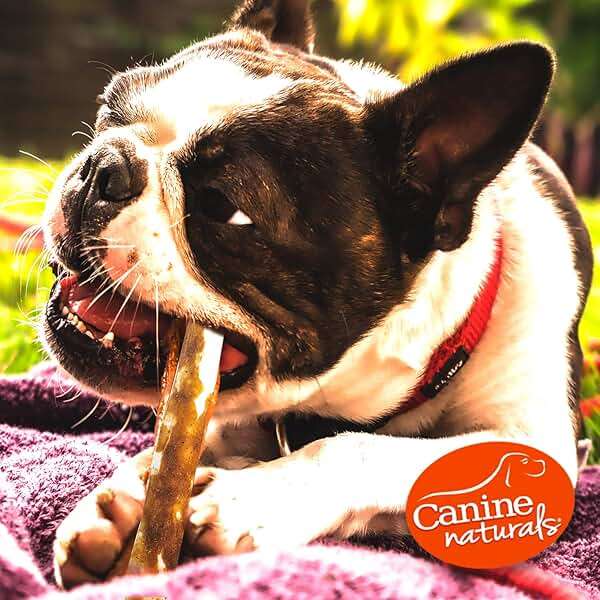 Canine Naturals Peanut Butter Chew - Rawhide Free and Dog Treats - Made from Real Peanut Butter - All-Natural and Easily Digestible - 40 Pack of 5 Inch Stick Chews - Image 6