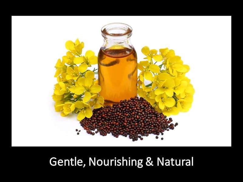 DAANA Mustard Oil for Skin: Certified USDA Organic, Extra Virgin, Cold Pressed (34 Fl Oz) - Image 6