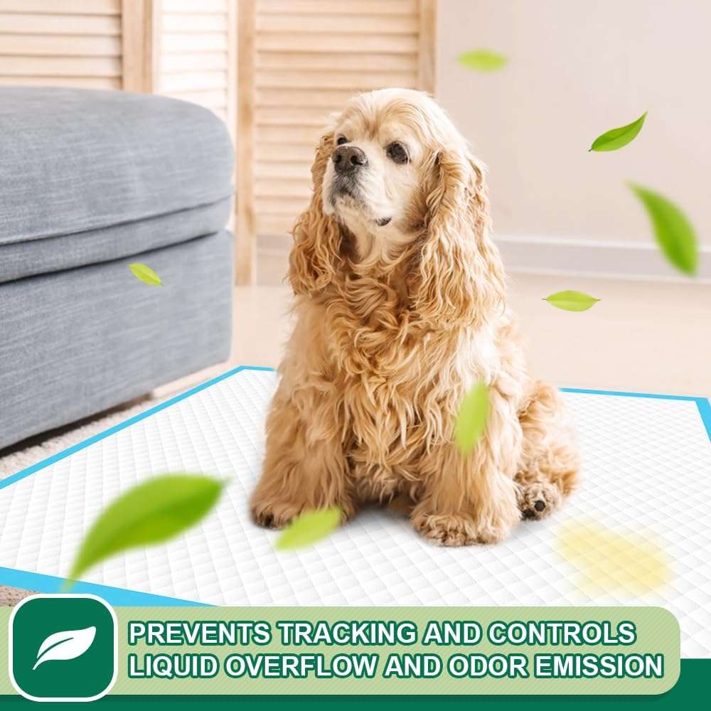 IMMCUTE Puppy Pads 22"x23" 100 Count | 6-Layer Leak-Proof & Super Absorbent Dog Training Pads | Disposable Potty Pads for Puppies, Dogs, Cats & Rabbits | Blue & White - Image 5