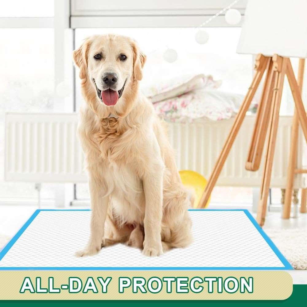 IMMCUTE Puppy Pads 22"x23" 100 Count | 6-Layer Leak-Proof & Super Absorbent Dog Training Pads | Disposable Potty Pads for Puppies, Dogs, Cats & Rabbits | Blue & White - Image 8