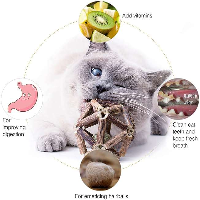 Gochanmon Catnip Toys-2Pcs Natural Silvervine Stick Catnip Ball&Bell Ball-Cat Toys for Indoor Cats- Cleaning Teeth Molar Tools Matatabi Cat Chew Toy-Kitten Toys All Breeds - Image 2