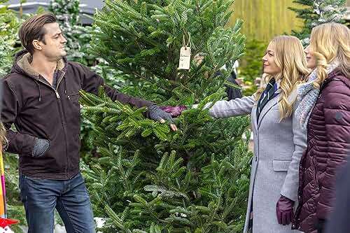 Hallmark 3-Movie Collection: Crown for Christmas / A Christmas Melody / It's Christmas, Eve - Image 3