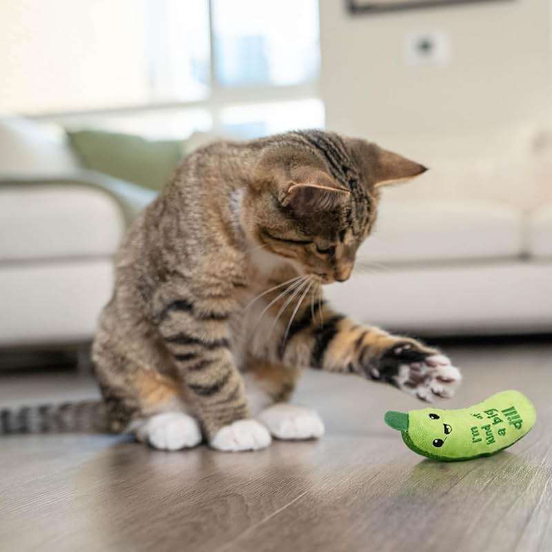 Catstages Crunchy Pickle Kicker Cat Toy – Plush Crinkle Toy with Catnip and Dental Mesh, 6.5" - Image 8