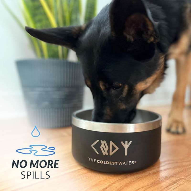 Coldest Dog Bowl - Anti Rust Metal, Non Slip, 3 Layers Insulated Stainless Steel Dog Bowls - Spill Proof & Heavy Duty - Water Bowl for Dogs, Cats & Pets, Dish Washer Safe (42 oz, Galaxy Purple) - Image 6