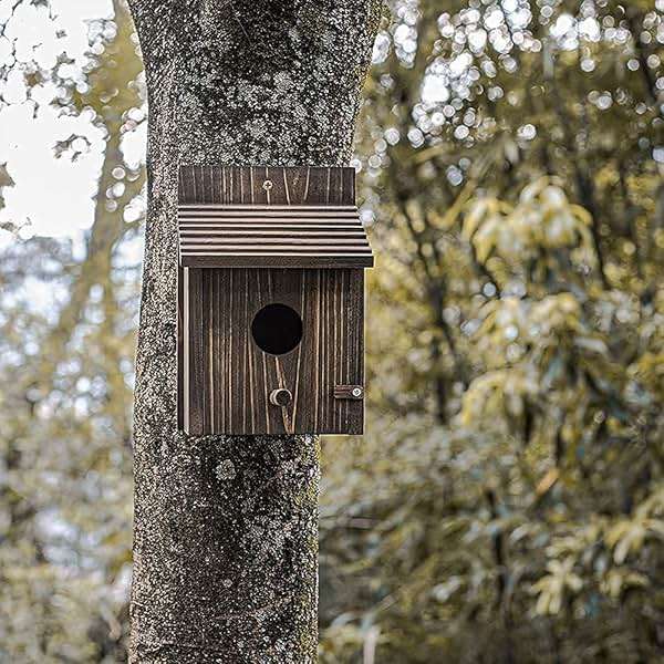 NATUREYLWL Weatherproof Bird House, Wooden Bird Houses for Outside with Pole, Durable Birdhouse for Finch, Bluebird, Cardinals, Hanging Birdhouse Garden Country Cottages - Image 7