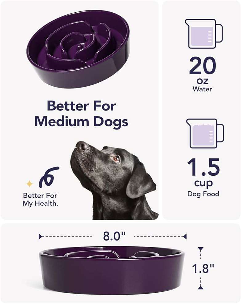 LE TAUCI Dog Bowls Slow Feeder Ceramic, 1.5 Cup Slow Feeding Bowl for Small and Medium Breed, Puzzle Dog Food Bowl for Fast Eater, Maze Purple - Image 5