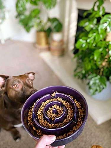 LE TAUCI Dog Bowls Slow Feeder Ceramic, 1.5 Cup Slow Feeding Bowl for Small and Medium Breed, Puzzle Dog Food Bowl for Fast Eater, Maze Purple - Image 8