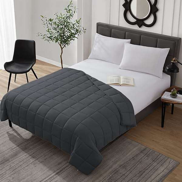L'AGRATY Weighted Blanket Kids - 40"x60" 10lbs Breathable Childrens Heavy Blanket Microfiber Material with Glass Beads All-Season Summer Fall Winter Soft - Image 2