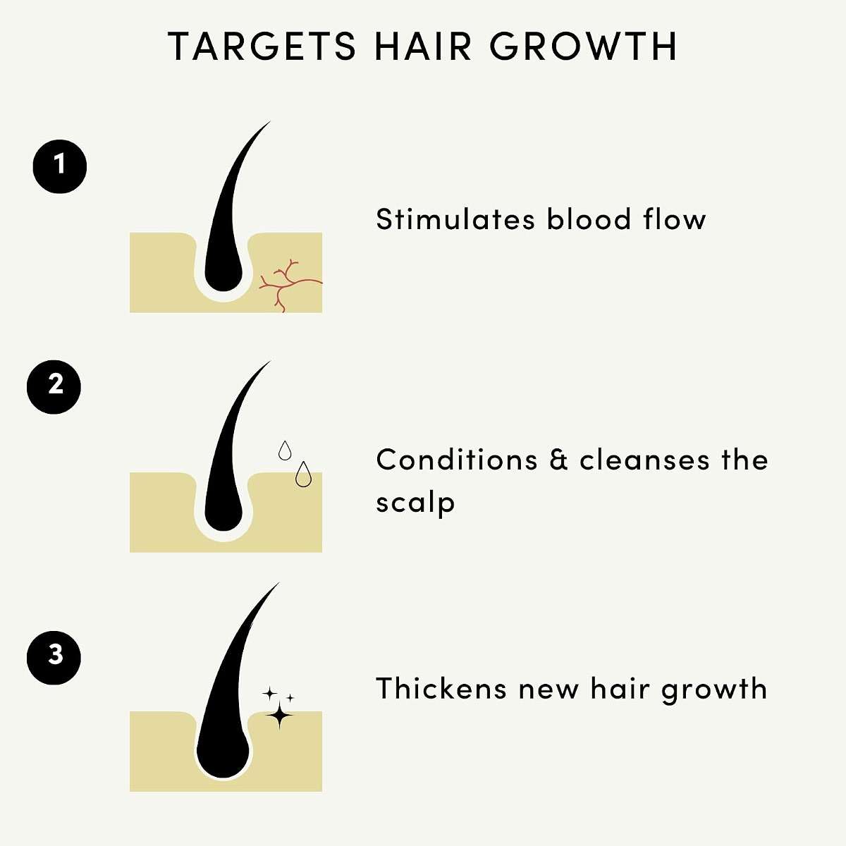 Forest & Shore Hair Growth Oil & Serum - Visibly Fuller, Thicker, Stronger Hair with Caffeine, Biotin & 13 Natural Oils - Rosemary, Castor & Argan Scalp Treatment for Women & Men - Vegan - Image 3