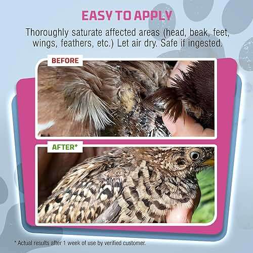 PetSilver Chicken Wound Spray for Chickens & Birds - Patented Silver Solution - Silver Spray for Wounds, Pecking Sores, Bumblefoot, Cuts, Burns, & Skin Irritations - Chicken Care - USA Made - 12 fl oz - Image 3