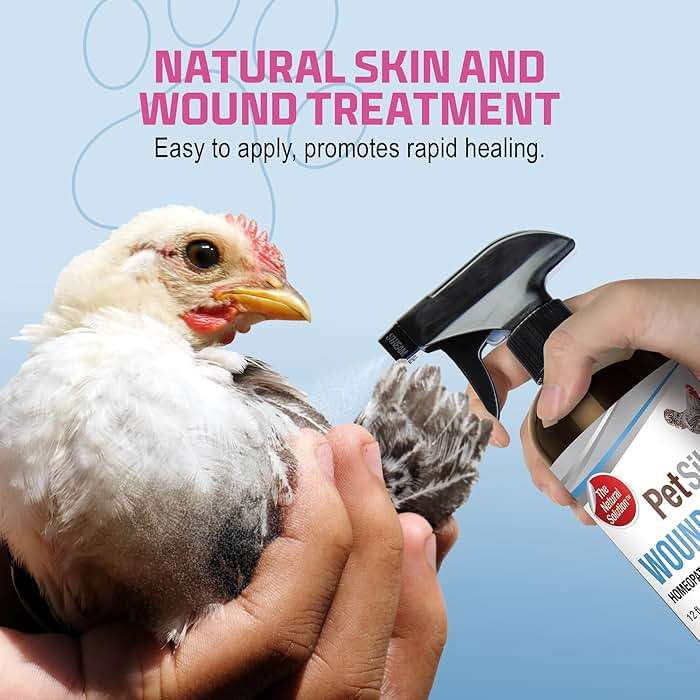 PetSilver Chicken Wound Spray for Chickens & Birds - Patented Silver Solution - Silver Spray for Wounds, Pecking Sores, Bumblefoot, Cuts, Burns, & Skin Irritations - Chicken Care - USA Made - 12 fl oz - Image 6