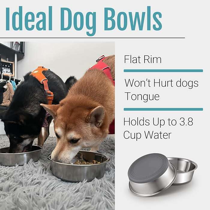 PEGYY11 Nonslip Stainless Steel Dog Bowls, 3.8 US Cup, 2 Count - Image 4