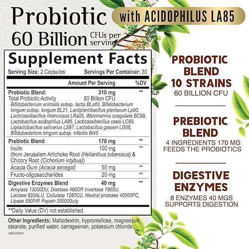 Premium Probiotics - 100 Billion CFU Per Serving - 10 Strains + Prebiotics - Best Women & Men's Gut Health Supplement, Supports Immune - Digestive Health & Occasional Constipation & Gas - 60 Capsules - Image 2