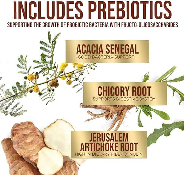 Premium Probiotics - 100 Billion CFU Per Serving - 10 Strains + Prebiotics - Best Women & Men's Gut Health Supplement, Supports Immune - Digestive Health & Occasional Constipation & Gas - 60 Capsules - Image 3