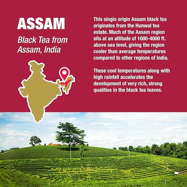 Tiesta Tea - Assam Black Tea, Loose Leaf, Single Origin Premium Black from India, High Caffeinated, Make Hot or Iced & Brews Up to 50 Cups, Pure Unblended, 4oz Refillable Tin - Image 5