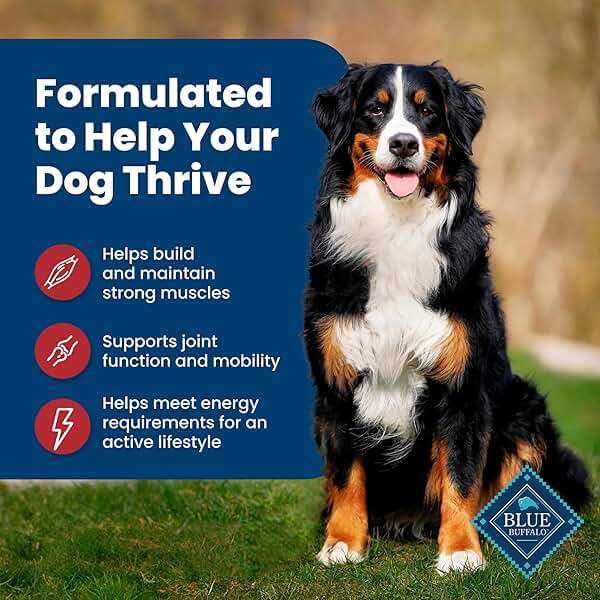Blue Buffalo Life Protection Formula Beef & Brown Rice Adult Dry Dog Food, Supports Immunity with Antioxidant-Rich LifeSource Bits, Promotes Healthy Muscle Development, Skin & Coat Health, 5 lbs. - Image 4
