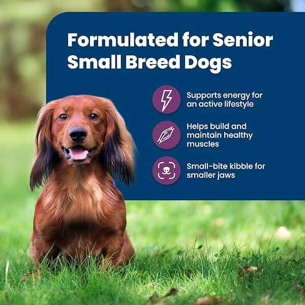 Blue Buffalo Life Protection Formula Small Breed Senior Dry Dog Food, Supports Joint Health and Immunity, Made with Natural Ingredients, Chicken & Brown Rice Recipe, 5-lb Bag - Image 4