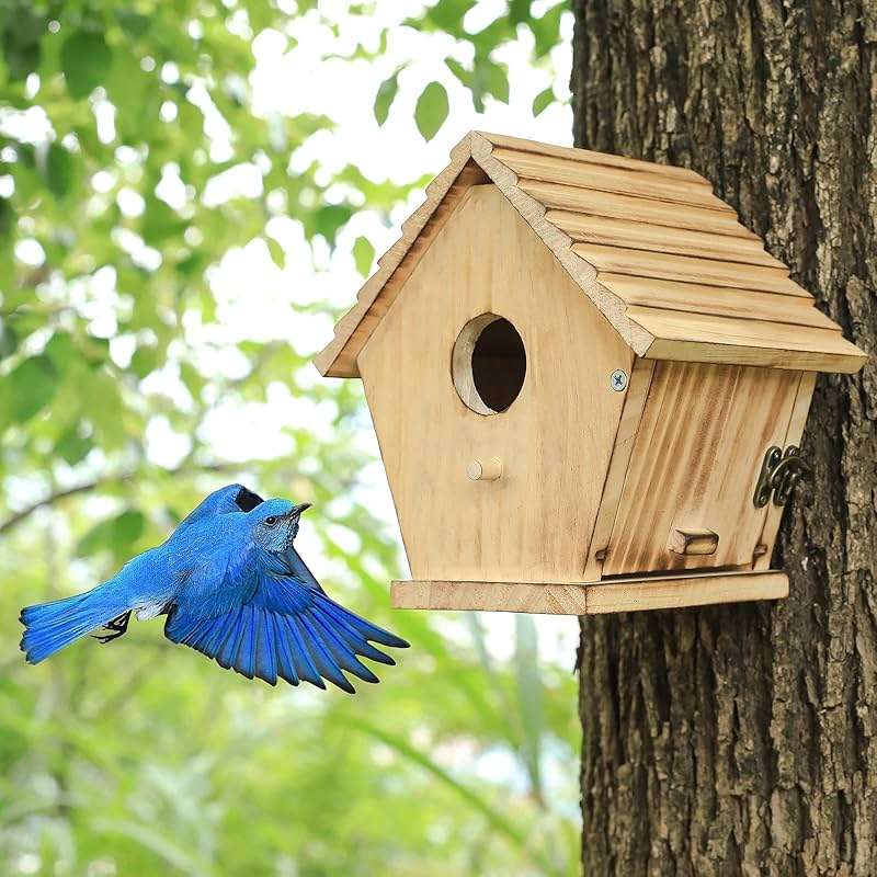 STARSWR Bird House,Outdoor Bluebird House for Outside Clearance,Wooden Birdhouse Finch Cardinals Hanging Birdhouse Nesting Box for Wild Bird Viewing - Image 4