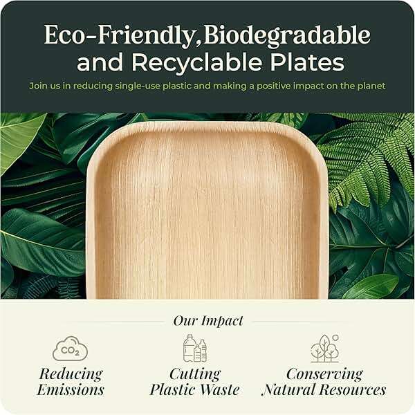 Palm Leaf Plates 10 Inch Bamboo Paper Disposable 50 Bulk Dinner Square Party Plates Event Tableware Eco Biodegradable Compostable Wooden Plate Best Alternative to Plastic Plate, By KoalaLove - Image 7