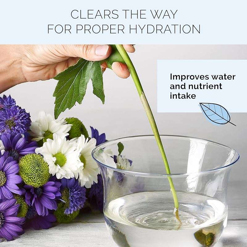 FloraLife Quick Dip - Instant Hydrating Treatment Solution for Preserving Fresh-Cut Flowers - 8oz - Image 5