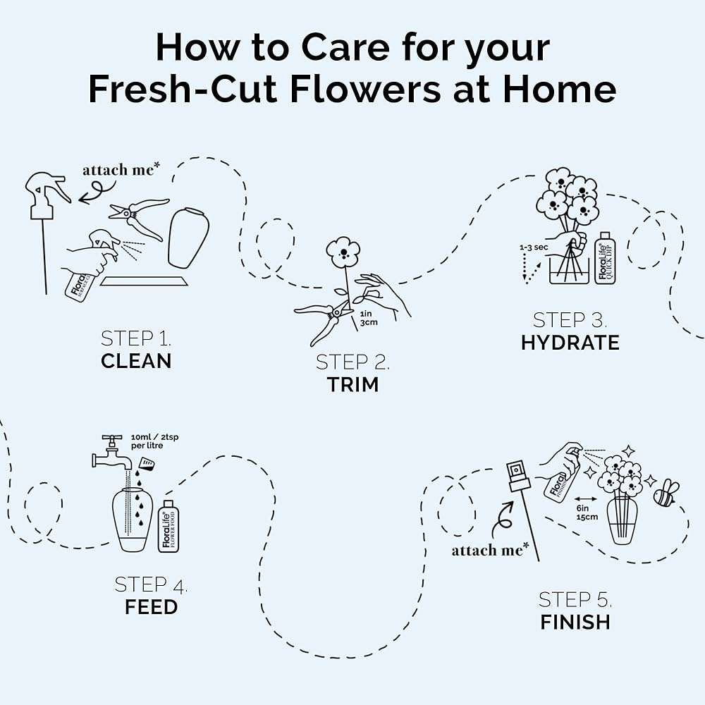 FloraLife Quick Dip - Instant Hydrating Treatment Solution for Preserving Fresh-Cut Flowers - 8oz - Image 6