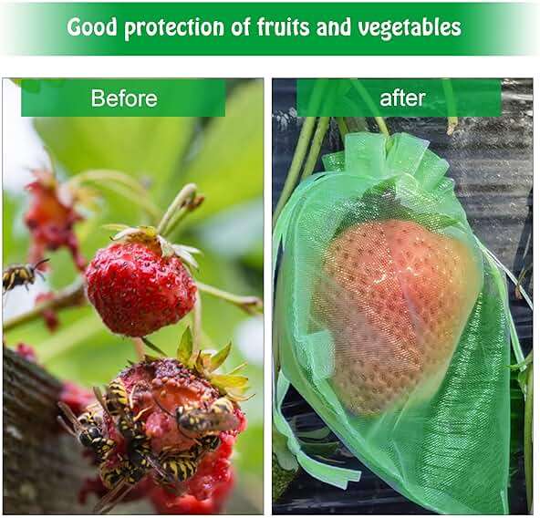 6x8 Inch 100 Pieces Green Fruit Protection Bags- Fruit Netting Bags with Drawstring,Garden Fruit Cover Mesh Bag to Protect Plants from Pest Birds Squirrels - Image 5