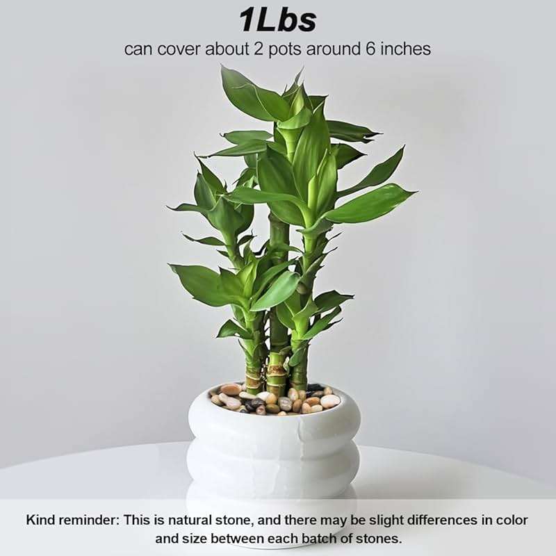 Virekm River Rocks, Decorative Ornamental Pebbles,Garden Landscaping Stones,Gravel Filler for Home Decoration Flower Bed Fish Tank Plants Vases Succulents - Image 3