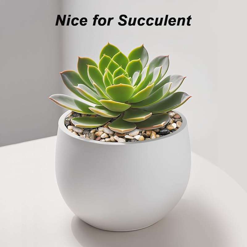 Virekm River Rocks, Decorative Ornamental Pebbles,Garden Landscaping Stones,Gravel Filler for Home Decoration Flower Bed Fish Tank Plants Vases Succulents - Image 8