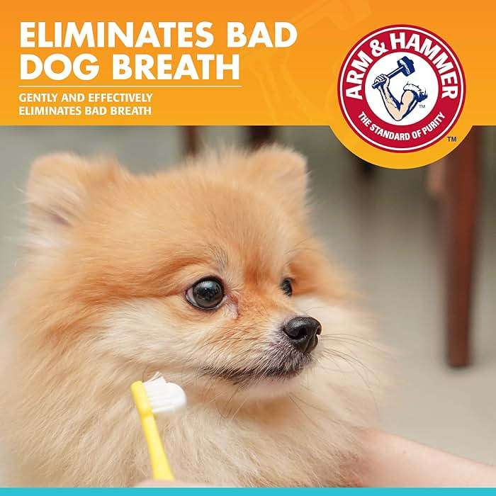 Arm & Hammer for Pets Fresh Breath Enzymatic Dog Toothpaste Vanilla Ginger Flavor Baking Soda Dental Gel Eliminates Bad Breath Safe Puppies Adult Dogs 2.5 OZ 72 Pack for Daily At-Home Dental Care - Image 2
