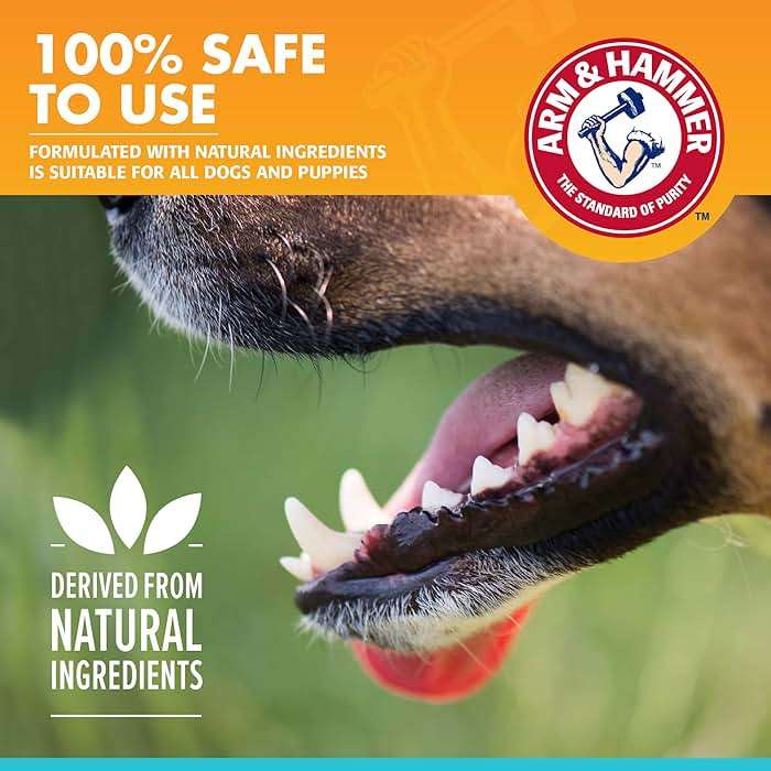 Arm & Hammer for Pets Fresh Breath Enzymatic Dog Toothpaste Vanilla Ginger Flavor Baking Soda Dental Gel Eliminates Bad Breath Safe Puppies Adult Dogs 2.5 OZ 72 Pack for Daily At-Home Dental Care - Image 4