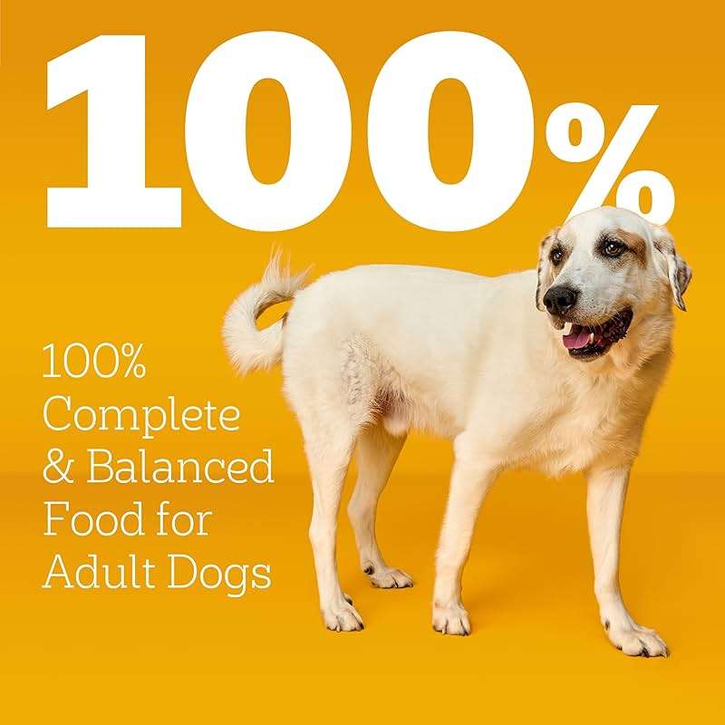 Pedigree Large Breed Dry Dog Food for Large Dogs, Roasted Chicken, Rice and Vegetable Flavor, 16 lb. Bag - Image 12
