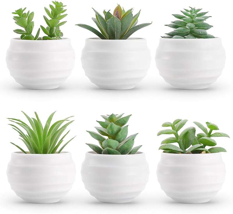 Der Rose Set of 6 Succulents Plants Artificial in Pots Small Fake Plants for Bedroom Aesthetic Living Room Shelf Bathroom Decor Office Desk Accessories - Image 1