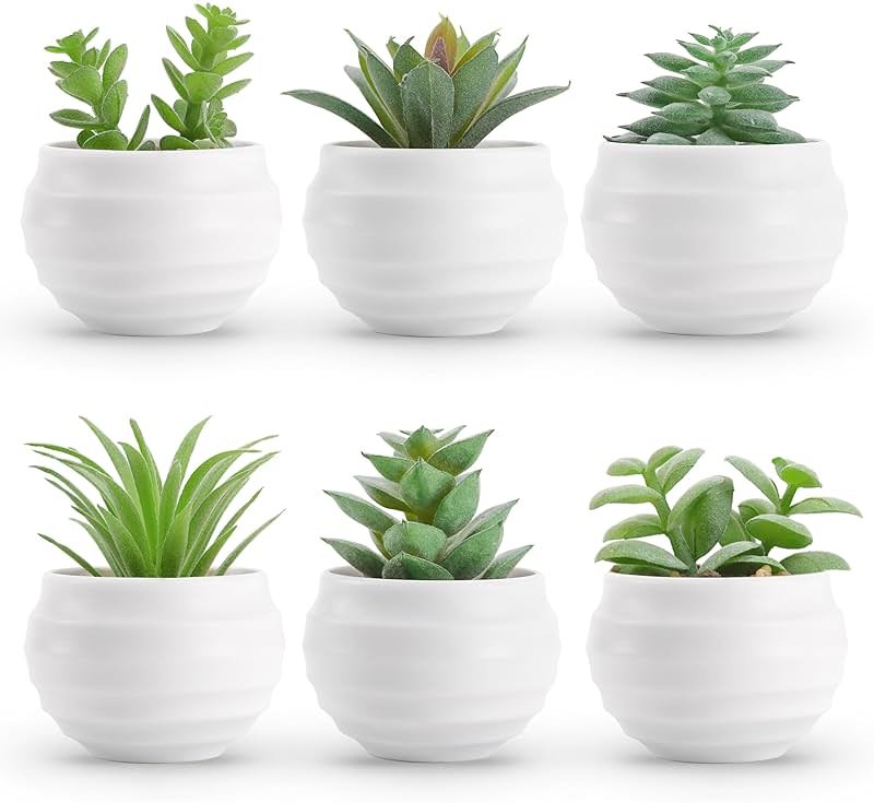 Der Rose Set of 6 Succulents Plants Artificial in Pots Small Fake Plants for Bedroom Aesthetic Living Room Shelf Bathroom Decor Office Desk Accessories - Product Image