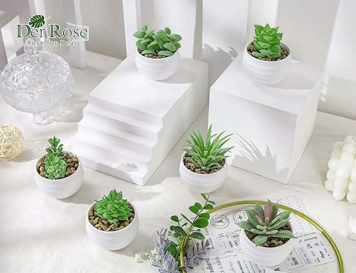 Der Rose Set of 6 Succulents Plants Artificial in Pots Small Fake Plants for Bedroom Aesthetic Living Room Shelf Bathroom Decor Office Desk Accessories - Image 2