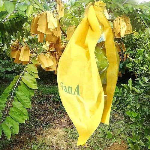 HouWanA Fruit Protection Bags 100pcs Cover Bags 9X11.8inch, for Fruit Trees, Orchard, Trees, Frost, Plants There are Windows to See Inside - Image 5