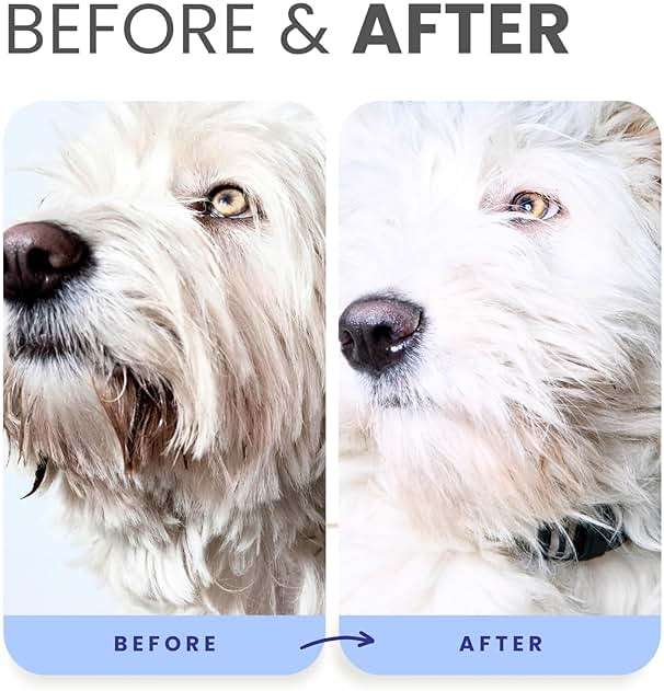 Lillian Ruff PRO Formula Berry Blue Brightening Dog Shampoo & Conditioner Set - Professional Show-Quality Whitening, Stain & Odor Eliminator, Hydrating Relief for Dry Skin, ProVitamin B5, USA Made - Image 5