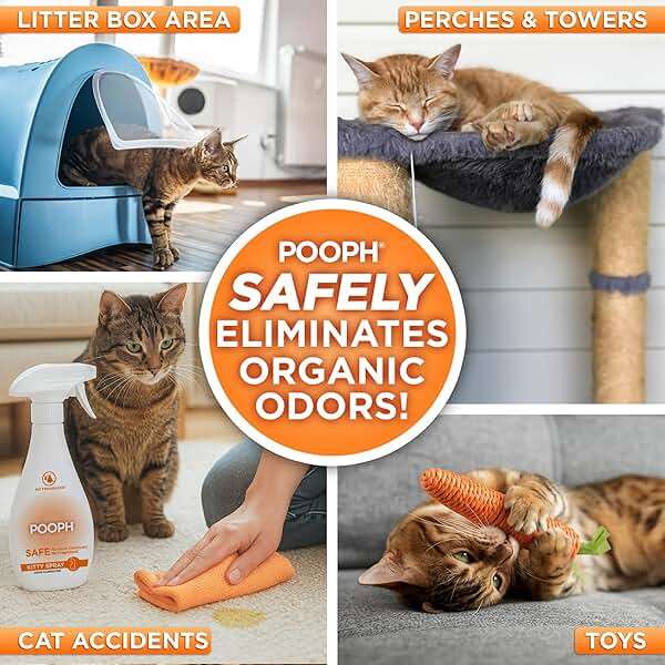 POOPH® Kitty Odor Eliminator – 32 fl oz Bottle – Proprietary Odor-Elimination Technology Works On-Contact – Cat Trees, Toys, Furniture, Bedding – NO Fragrances, NO Harsh Chemicals, Safe & Non-Toxic - Image 3