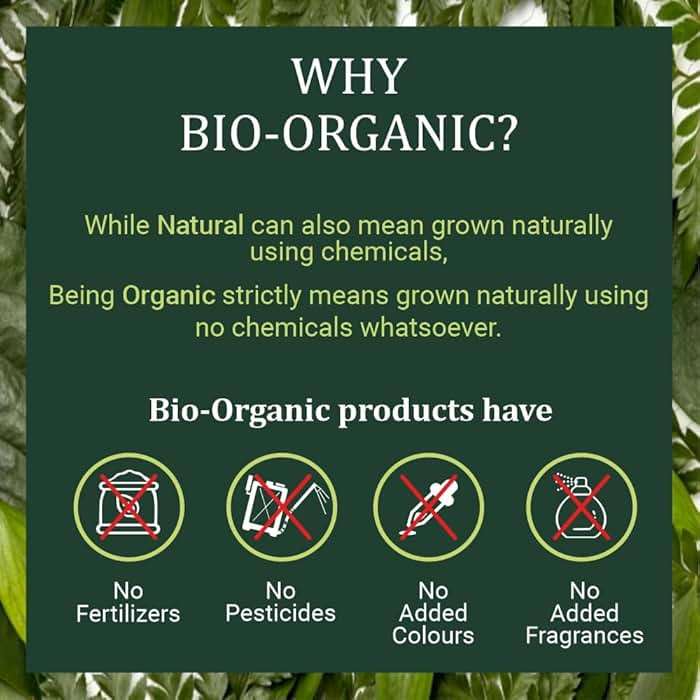 INDUS VALLEY 100% Bio Organic Amla Powder | Indian Gooseberry Powder | Phyllanthus emblica | Natural and Fresh For Healthy Hair - (200gm) - Image 5