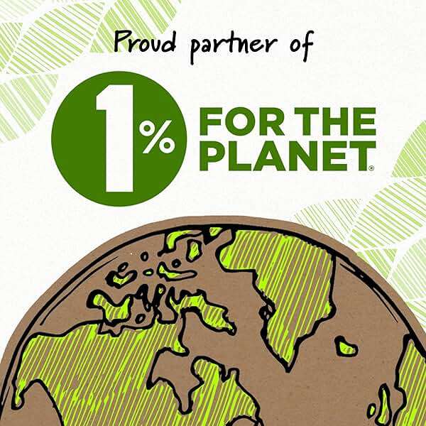 BIC ReVolution Mechanical Pencil - Image 6