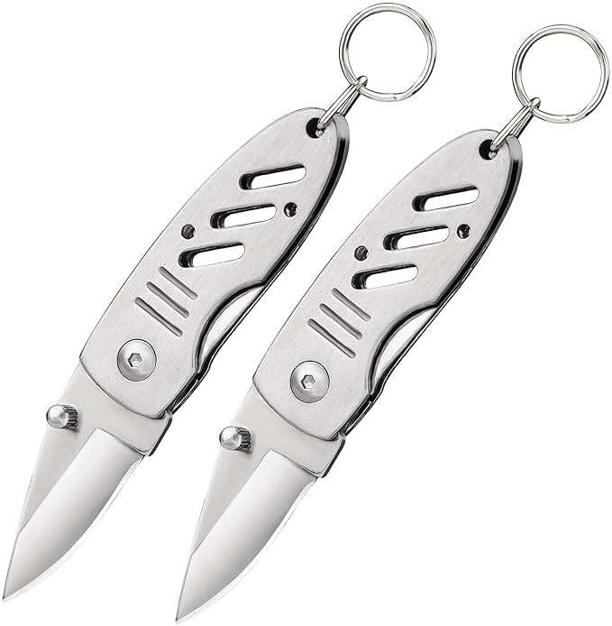 BARRYSAIL Gift for Dad Mini Keychain Knife, 2pcs Small Folding Pocket Knives with Liner Lock, 1.6 Inch Blade, Every Day Carry Tool for Men & Women (Silver) - Image 1