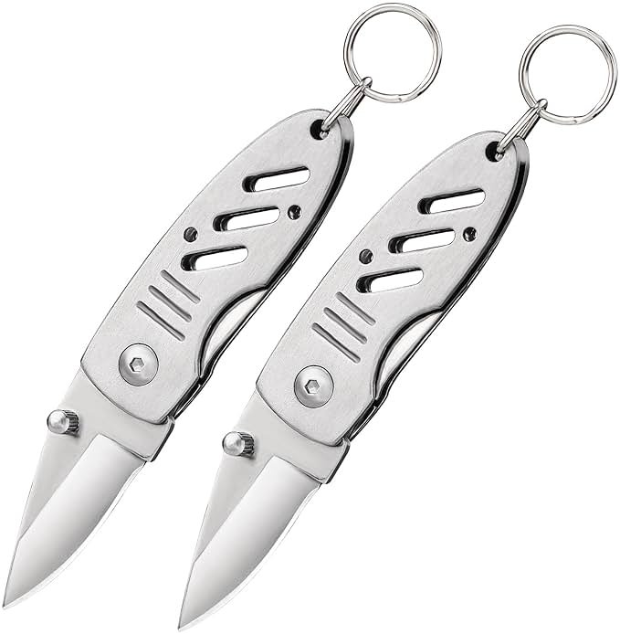 BARRYSAIL Gift for Dad Mini Keychain Knife, 2pcs Small Folding Pocket Knives with Liner Lock, 1.6 Inch Blade, Every Day Carry Tool for Men & Women (Silver) - Product Image