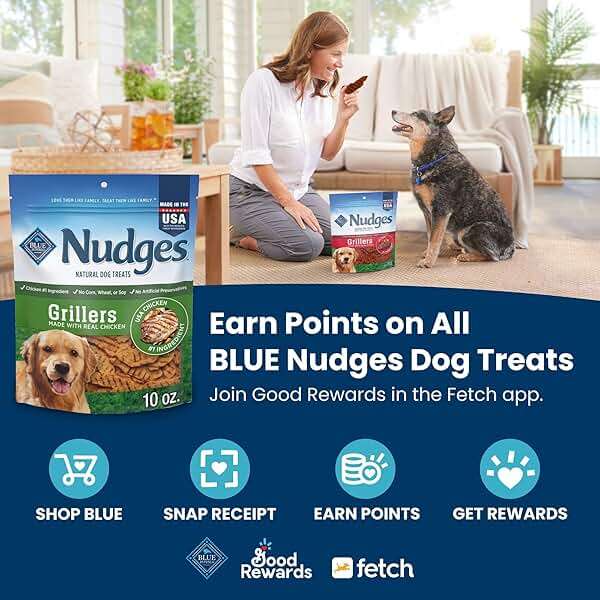 Blue Buffalo Nudges Chicken Jerky Cuts Natural Dog Treats, Tender & Meaty Dog Snacks, Healthy Reward or Training Treat, Made in the USA with Real Chicken, No Artificial Preservatives, 36 oz. - Image 3