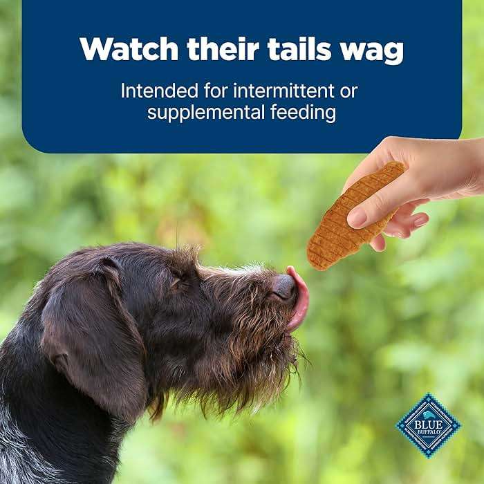 Blue Buffalo Nudges Chicken Jerky Cuts Natural Dog Treats, Tender & Meaty Dog Snacks, Healthy Reward or Training Treat, Made in the USA with Real Chicken, No Artificial Preservatives, 36 oz. - Image 8