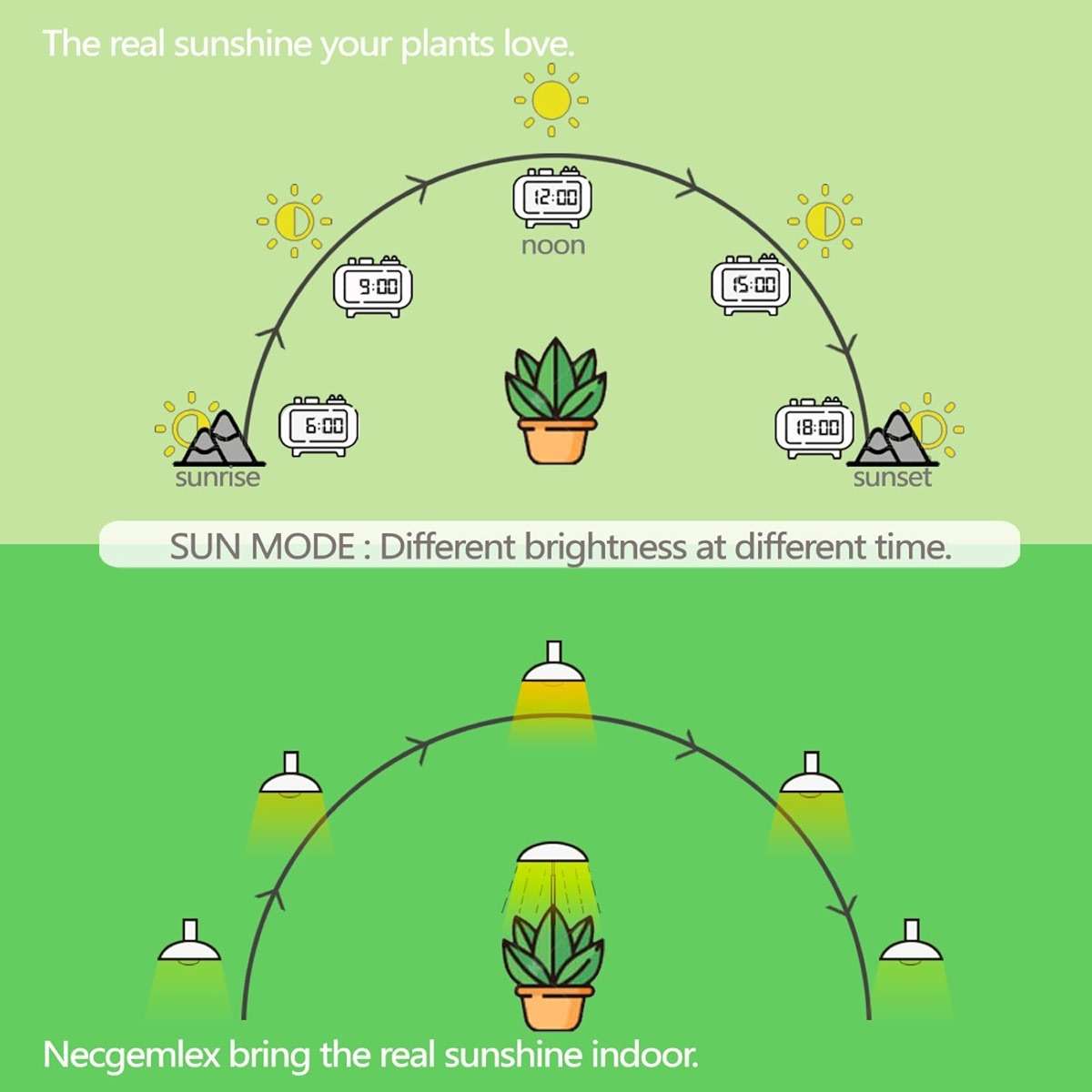 Necgemlex Smart LED Grow Light Bulbs with Remote Controller, Sun Mode, Built-in Daily Auto Timer, 4500K, A21/A70 E26/E27 9W Dimmable Full Spectrum Grow Bulbs for Indoor Plants, 2 Pack - Image 3