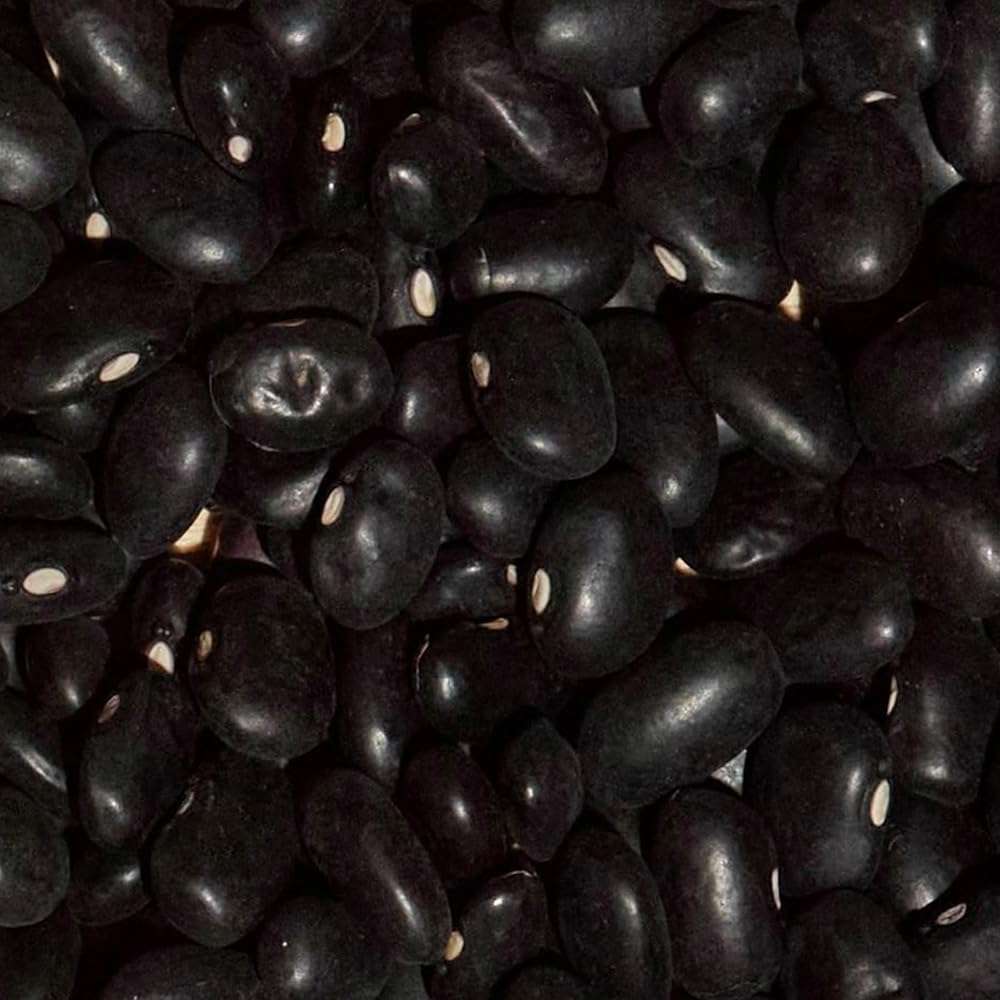 SIMPLi Regenerative Organic Certified Black Beans, Creamy and Rich Flavor, Immune-Boosting Vitamin C, Slow-Digesting Carbs, USDA Organic, 12 oz - Image 5