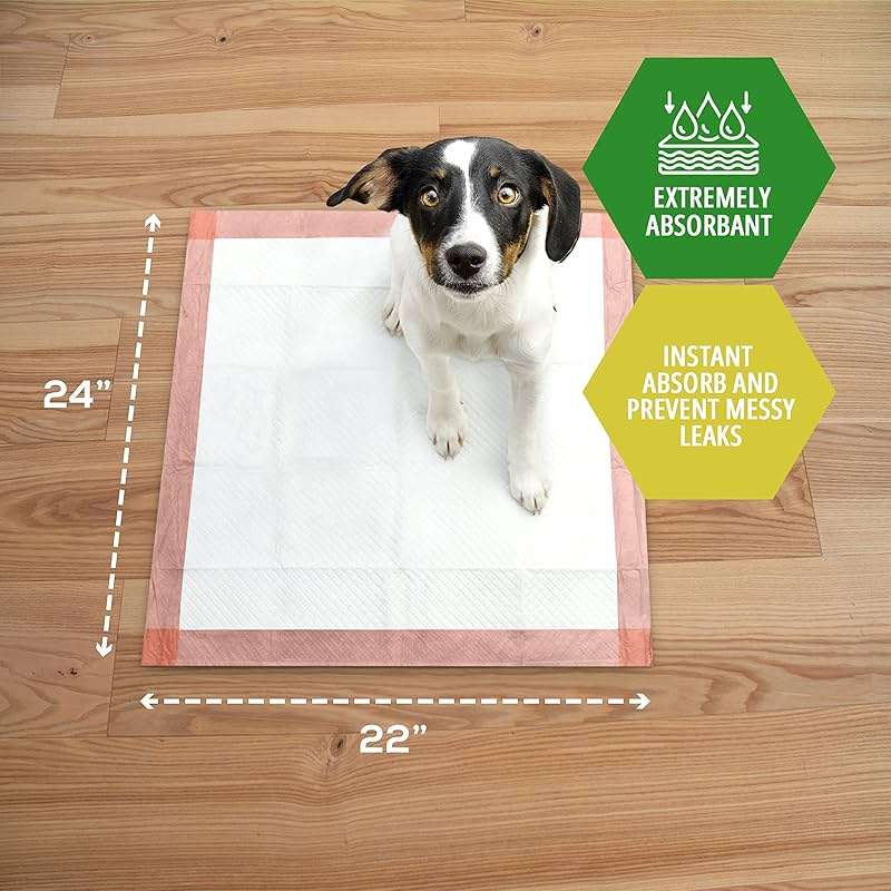 MED PRIDE Dog Training Pads with Attractant, 100 Count Disposable Puppy Pee Pads, 22 x 24 in, 6-Layer Ultra Absorbent Potty Pads with Leakproof Backing for Dogs, Cats & Small Pets - Image 2