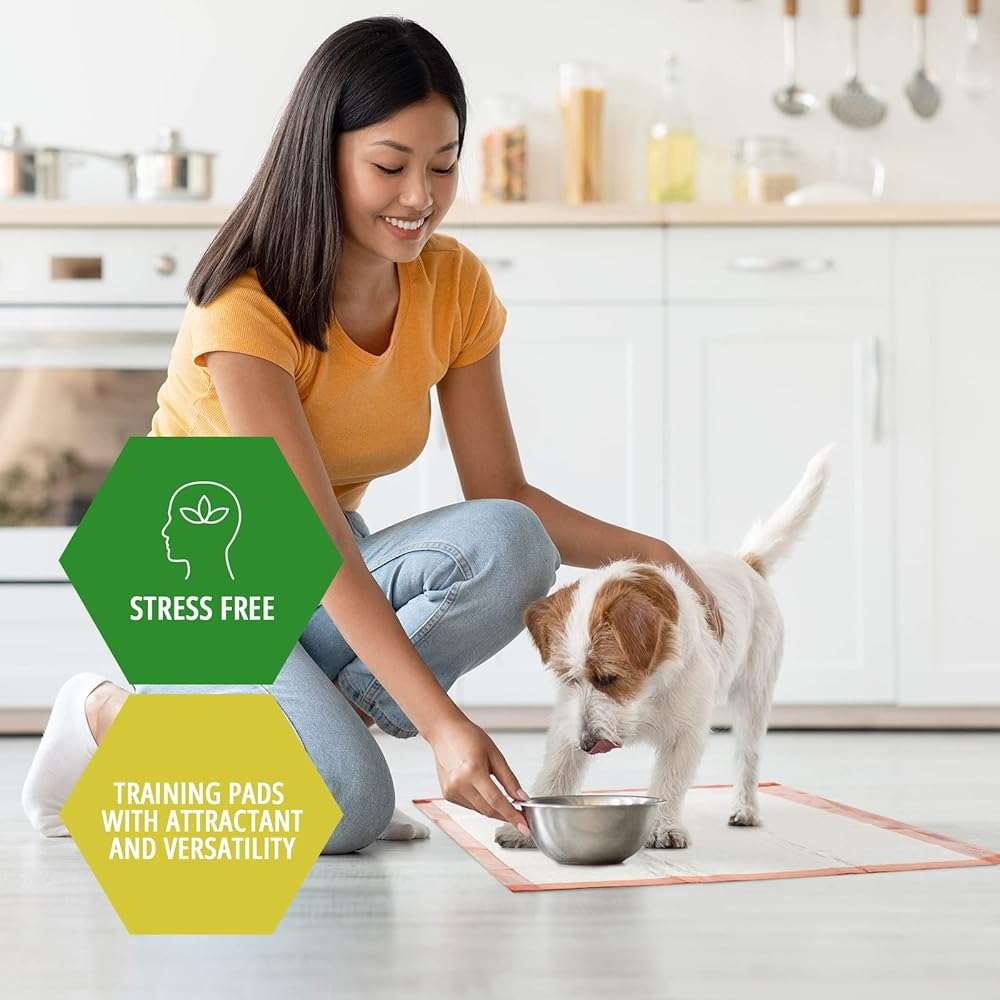 MED PRIDE Dog Training Pads with Attractant, 100 Count Disposable Puppy Pee Pads, 22 x 24 in, 6-Layer Ultra Absorbent Potty Pads with Leakproof Backing for Dogs, Cats & Small Pets - Image 3