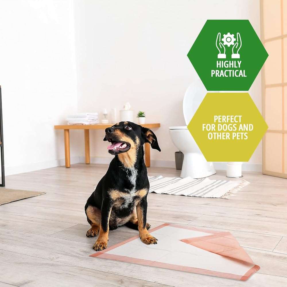MED PRIDE Dog Training Pads with Attractant, 100 Count Disposable Puppy Pee Pads, 22 x 24 in, 6-Layer Ultra Absorbent Potty Pads with Leakproof Backing for Dogs, Cats & Small Pets - Image 4