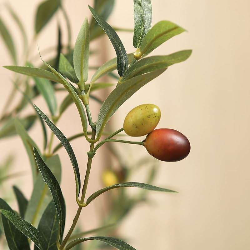 Kazeila Artificial Olive Tree 6FT Tall Faux Silk Plant for Home Office Decor Indoor Fake Potted Tree with Wood Branches and Fruits - Image 5
