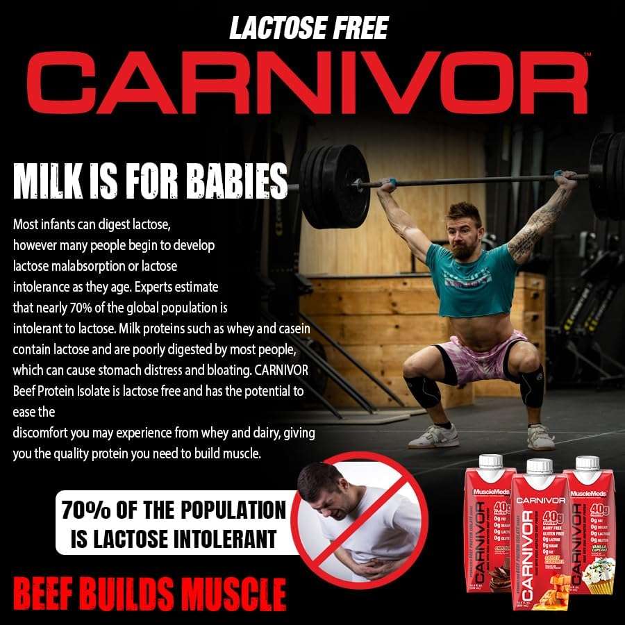 MuscleMeds Carnivor RTD, Ready to Drink Protein, Lactose Free, Sugar Free, 40g Isolate Protein, Muscle Building, Recovery, Vanilla Cupcake, 16.9 Fl Oz, Liquid (Pack of 12) - Image 3